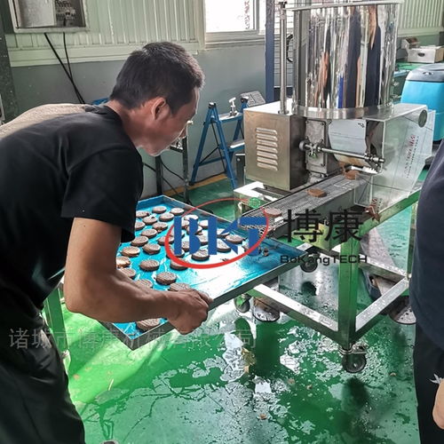 全自动宠物饼干成型机 食品机械设备网