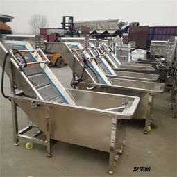 2019果蔬清洗机 洗菜机 净菜加工设备批发价格